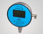 YZW-150中文壓力表